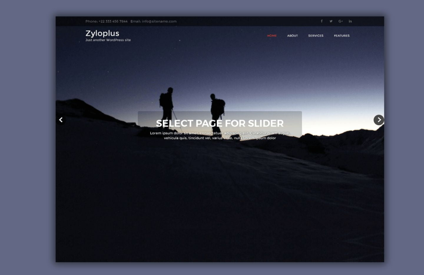 Free Zyloplus WordPress Template